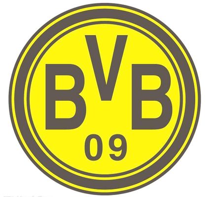 职业生涯的 职业生涯的