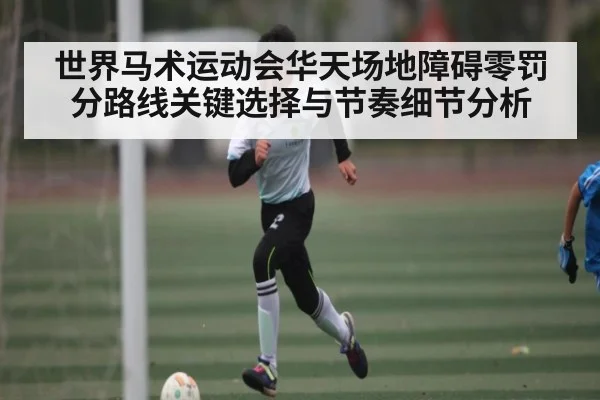 世界马术运动会华天场地障碍零罚分路线关键选择与节奏细节分析